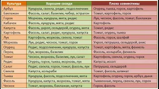 Таблица посадки различных овощей. "Хорошие" и "плохие" соседи.