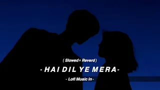 Hai Dil Ye Mera | (Slowed + Reverd) | Arijit Singh | Lofi Music In