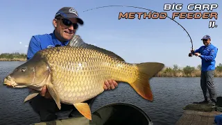Rapid feeder with Gábor Döme - Method Fishing in Reeds on Lake Bácsbokod