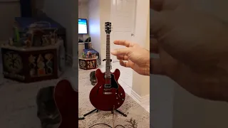 Gibson ES-335 comparison  2018 Memphis Traditional ES 335 vs. 2020 Nashville ES 335 Dot