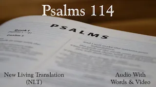 Psalms 114 - New Living Translation (NLT) Audio Bible.