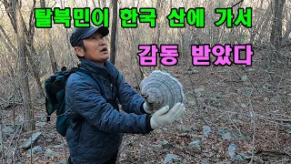 탈북민이 한국 산에 가서 감동 받았다. 버섯 따러 간 탈북민.