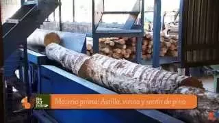 Biomasa: Proceso de fabricación del pellet a partir de la madera de pino