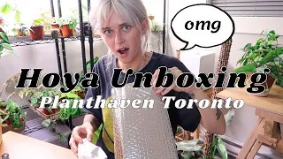 Uncommon Hoya Unboxing | Planthaven Toronto