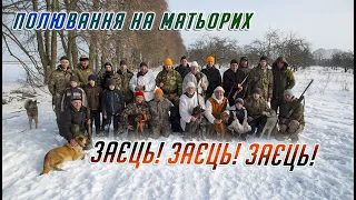 ПОЛЮВАННЯ НА МАТЬОРИХ ЗАЙЦІВ РІВНЕНЩИНА