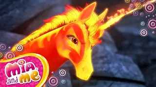 The Fire Unicorn Takes Rixel's Whip From Him! - Mia and me - Season 2🦄🌈