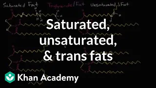 Saturated fats, unsaturated fats, and trans fats | Biology | Khan Academy