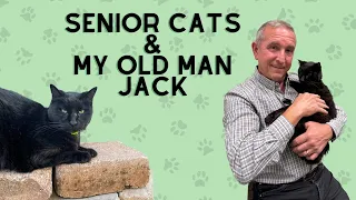 Senior Cats and My Old Man Jack