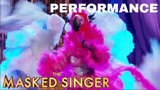 Flamingo sings “Lady Marmalade” by Patti LaBelle | The Masked Singer | Season 2