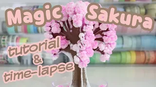 MAGIC SAKURA TREE - Tutorial and Blooming Time Lapse