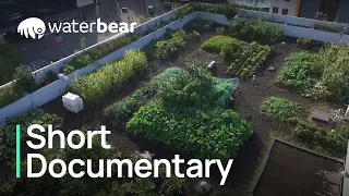 Rooftop Revolution | Short Documentary | WaterBear