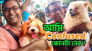 Galiff Street Pet Market Kolkata | dog market in kolkata | Dog Price | Gallif street kolkata | Dog