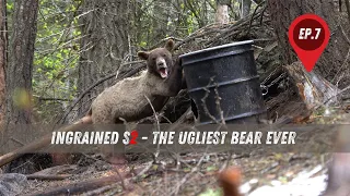 Ingrained S2 Episode 7 - The Ugliest Bear Ever.