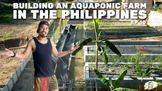 Building an Aquaponic Farm in 8 Months - Was it Worth It?