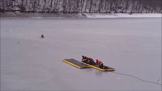 Záchrana jelienčaťa na VN Ružín, PZ Zlatník