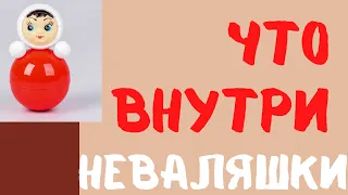 ЧТО ВНУТРИ НЕВАЛЯШКИ / А ВЫ ЭТО ЗНАЛИ?