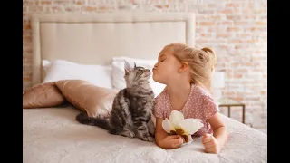 Funny videos of children and cats. Смешные видео детей и кошек.