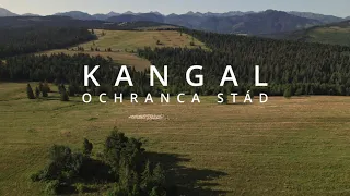 Kangal - ochranca stád (trailer)