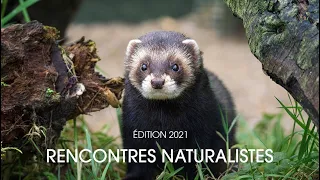 Rencontres naturalistes d’Île-de-France 2021