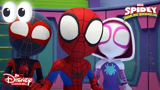 Karakterlerle Tanışalım😎 | Marvel Spidey ve İnanılmaz Arkadaşları | Disney Channel TR