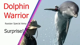 Surprise: Russian dolphin army is being deployed to protect the Black Sea naval base