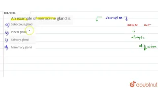 An example of merocrine gland is