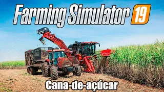 Como plantar e colher cana-de-açúcar no Farming Simulator 19 - EP 04