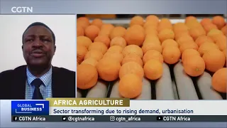 Stakeholders look to scale up innovation for Africa's agricultural transformation