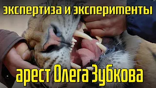 Олег Зубков - парк львов "Тайган" / экспертиза и эксперименты