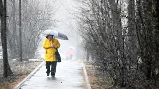 Апрельский снегопад в Сергиевом Посаде