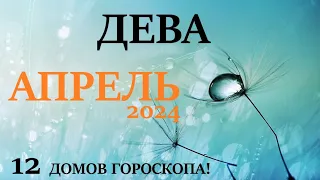 ДЕВА ♍ АПРЕЛЬ 2024 🚀 Прогноз на месяц таро расклад 👍Все знаки зодиака! 12 домов гороскопа!