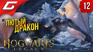 НЕ ТЫКАЙ ДРАКОНА В ГЛАЗ ➤ Hogwarts Legacy ◉ Прохождение #12