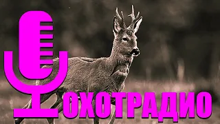 ОХОТА В СИБИРИ УТКА-ЗАЯЦ-КОСУЛЯ-ТЕТЕРЕВ "ТЕХНОЛОГИЯ ОХОТЫ" 🔴ОхотРадио