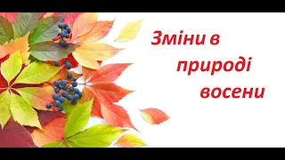 Діагностична робота № 2 на тему: "Зміни в природі восени" ІІ варіант. Ядс. Онлайн урок.