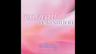 Natural Relaxation: Music for Your Health - Dan Gibson & Ron Allen