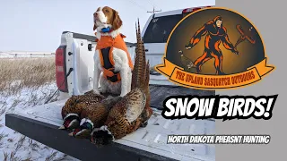 Snow Birds- Pheasant Hunting North Dakota