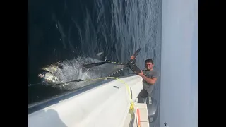 Cape Cod GIANT Bluefin Tuna Fishing Mid-Summer EPIC Footage POV