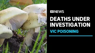 Victorian mushroom deaths under investigation as town mourns 'pillars' of community | ABC News