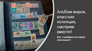 Альбом почтовых марок, много ценных в абсолютном хаосе!!!