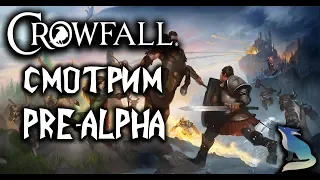 Crowfall. ПРЕ-Альфа игры. Стоит ли покупать наборы Основателя? Локализатор в России Иннова!