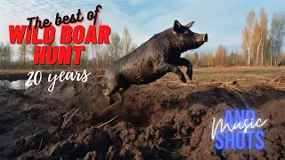 The Best of 20 years wild boar hunt