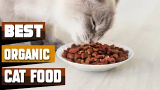 Best Organic Cat Foods In 2024 - Top 10 Organic Cat Foods Review