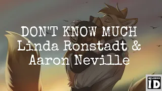 Don't Know Much - Linda Ronstadt & Aaron Neville (cover by Johan Untung & Yuli) (Lyrics On Screen)