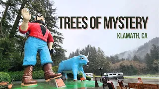 Trees of Mystery: Exploring the Giant Redwoods and Suspension Bridges - rvlife family outdoors vlog