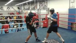 ioannidis spyros(s.w) sparring