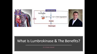 What Is Lumbrokinase and The Benefits?