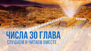 ЧИСЛА глава 30 | Чтение Библии | Библия в современном переводе