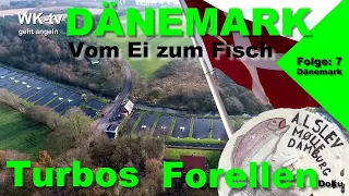 Fischzucht in Dänemark- Vom Ei bis zum Angelteich -Turbos Forelle 2  I Doku/WK-tv/BR/WDR/NDR/Rbb/HD