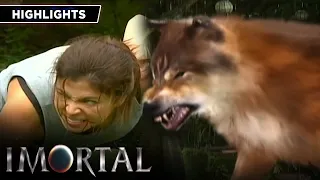 Lia eventually manages to become a full wolf | Imortal
