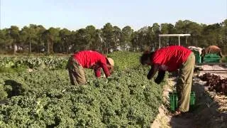 What is crop rotation? - "Agriculture 101: America's Heartland"